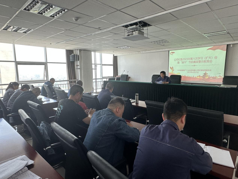 公司紀委召開2023年第六次學(xué)習(xí)（擴大）會暨&ldquo;端午&rdquo;節(jié)前廉政警示教育會