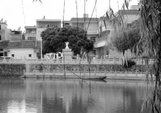 老鄉(xiāng)眼里的李河君：陌生富豪，夫人助其發(fā)財(cái)