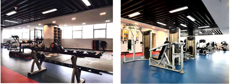 展運動風采  鑄物產輝煌――&ldquo;青物集團健身中心&rdquo;開始試營業(yè)